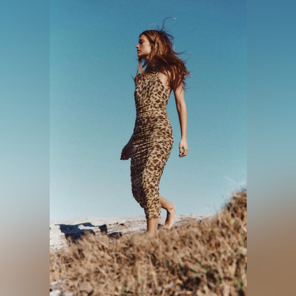 ZARA ANIMAL PRINT TULLE DRESS  SIZE L